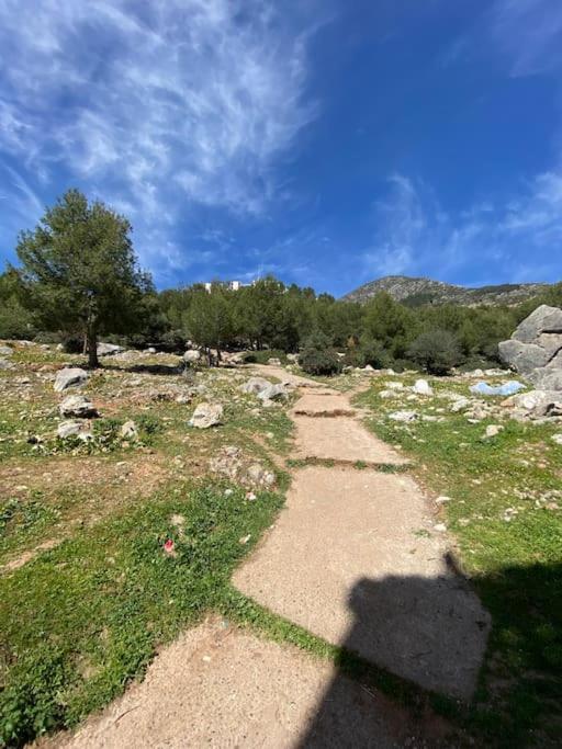 Casa Marron Lejlighed Chefchaouen Eksteriør billede